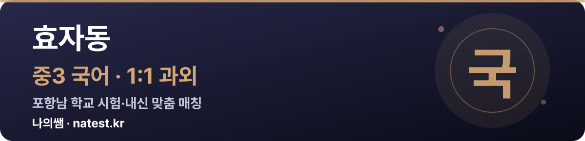 효자동 중3 국어 1:1 과외 — 포항남 학교 시험·내신 맞춤