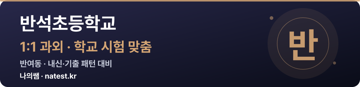 반석초등학교 1:1 과외 — 학교 시험·내신 맞춤