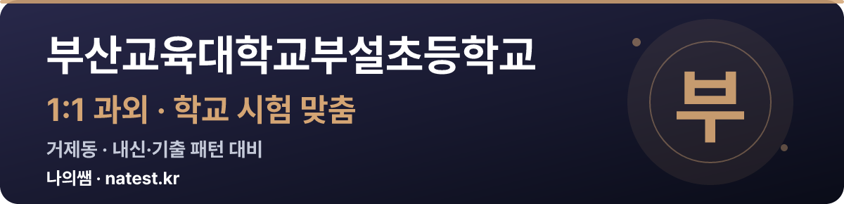 부산교육대학교부설초등학교 1:1 과외 — 학교 시험·내신 맞춤