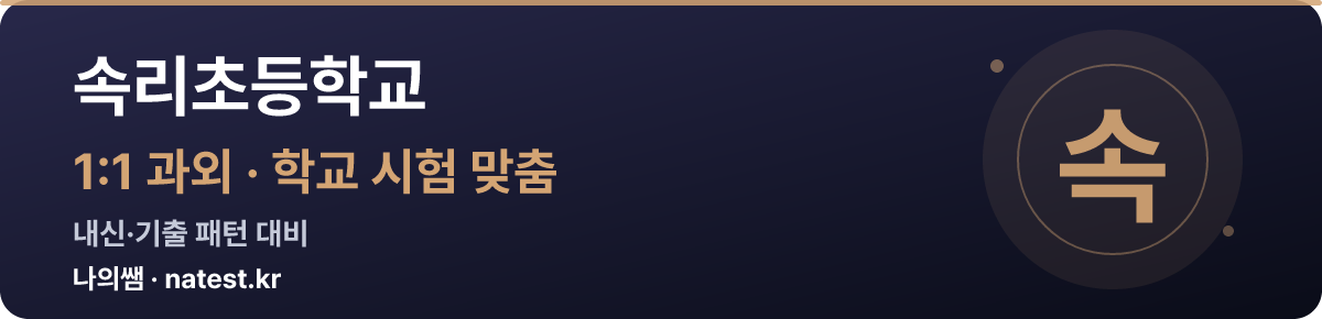 속리초등학교 1:1 과외 — 학교 시험·내신 맞춤