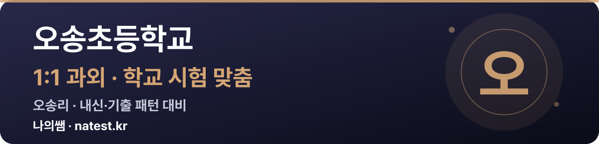 오송초등학교 1:1 과외 — 학교 시험·내신 맞춤