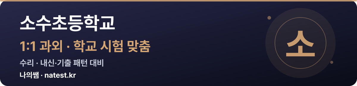 소수초등학교 1:1 과외 — 학교 시험·내신 맞춤