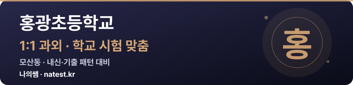 홍광초등학교 1:1 과외 — 학교 시험·내신 맞춤