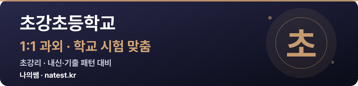 초강초등학교 1:1 과외 — 학교 시험·내신 맞춤
