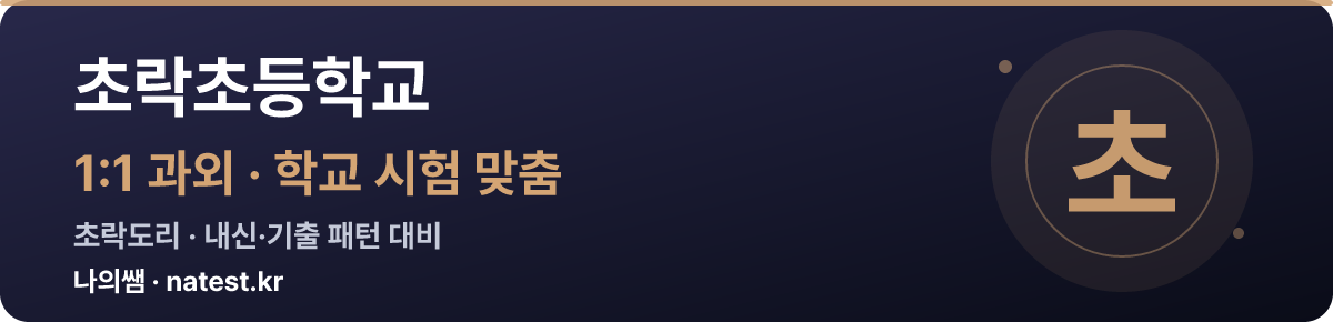 초락초등학교 1:1 과외 — 학교 시험·내신 맞춤