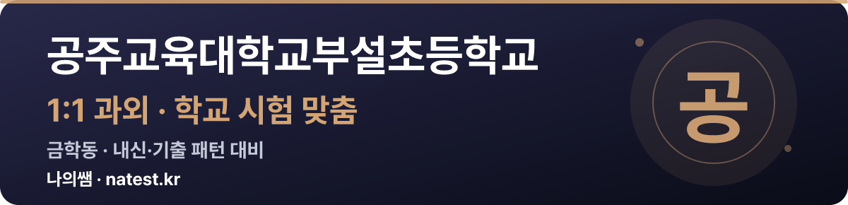 공주교육대학교부설초등학교 1:1 과외 — 학교 시험·내신 맞춤
