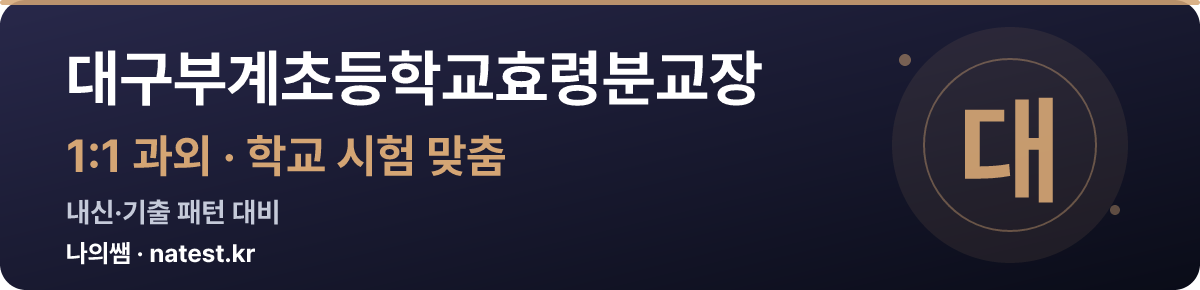 대구부계초등학교효령분교장 1:1 과외 — 학교 시험·내신 맞춤
