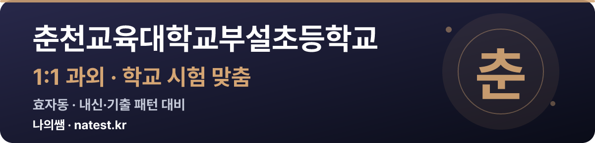 춘천교육대학교부설초등학교 1:1 과외 — 학교 시험·내신 맞춤
