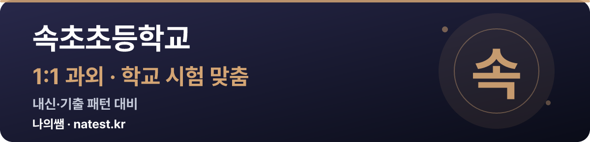 속초초등학교 1:1 과외 — 학교 시험·내신 맞춤