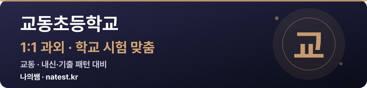 교동초등학교 1:1 과외 — 학교 시험·내신 맞춤