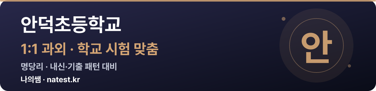 안덕초등학교 1:1 과외 — 학교 시험·내신 맞춤