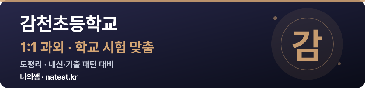 감천초등학교 1:1 과외 — 학교 시험·내신 맞춤