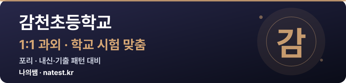 감천초등학교 1:1 과외 — 학교 시험·내신 맞춤