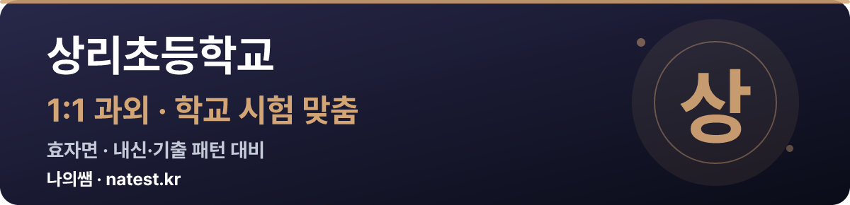 상리초등학교 1:1 과외 — 학교 시험·내신 맞춤