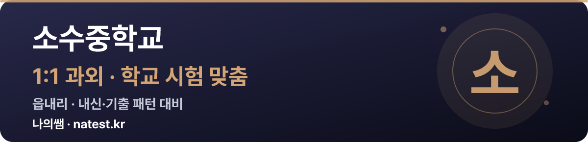 소수중학교 1:1 과외 — 학교 시험·내신 맞춤