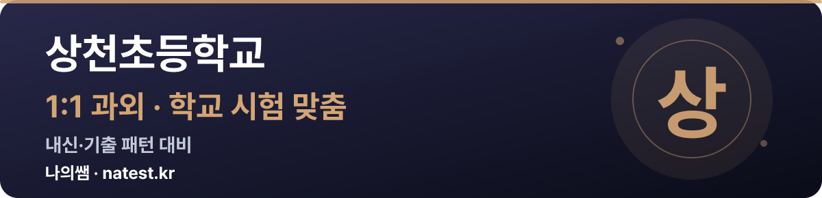 상천초등학교 1:1 과외 — 학교 시험·내신 맞춤