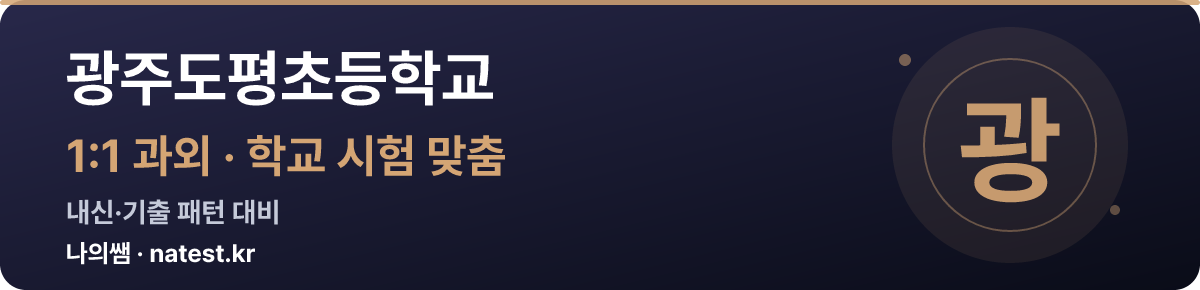 광주도평초등학교 1:1 과외 — 학교 시험·내신 맞춤