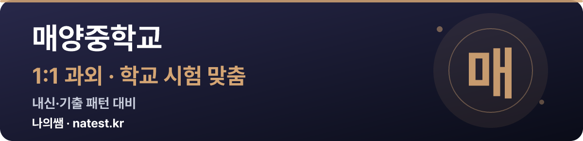 매양중학교 1:1 과외 — 학교 시험·내신 맞춤