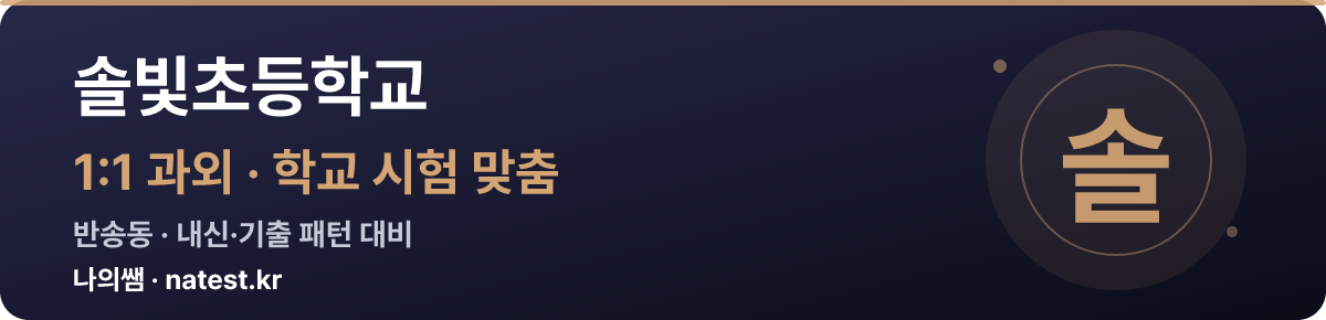 솔빛초등학교 1:1 과외 — 학교 시험·내신 맞춤