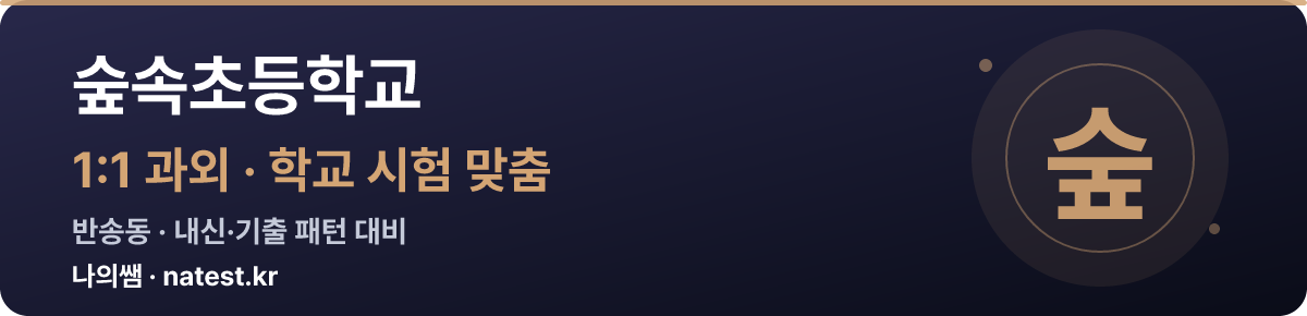 숲속초등학교 1:1 과외 — 학교 시험·내신 맞춤