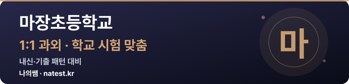 마장초등학교 1:1 과외 — 학교 시험·내신 맞춤