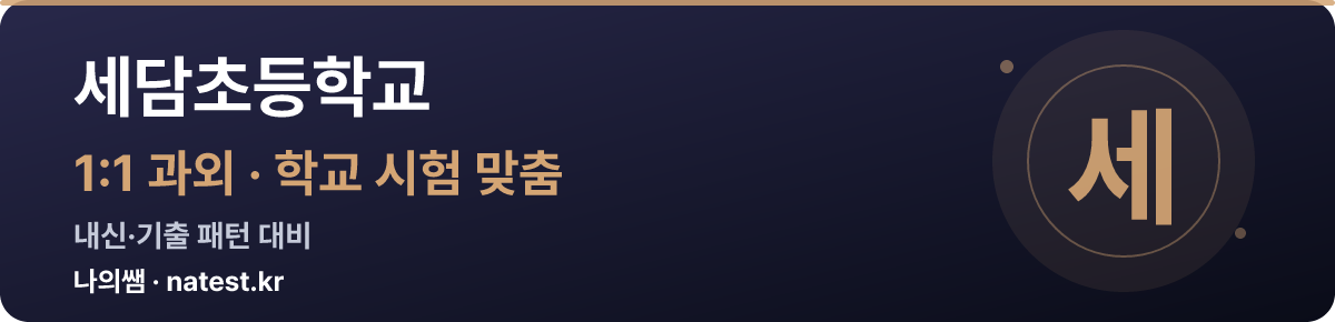 세담초등학교 1:1 과외 — 학교 시험·내신 맞춤