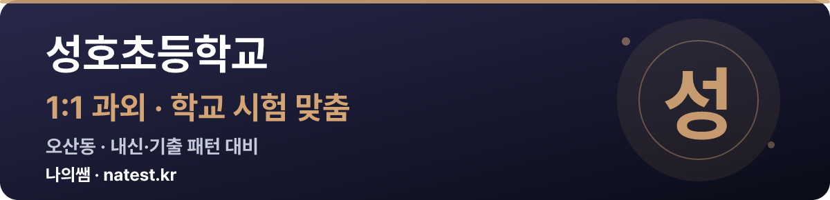 성호초등학교 1:1 과외 — 학교 시험·내신 맞춤