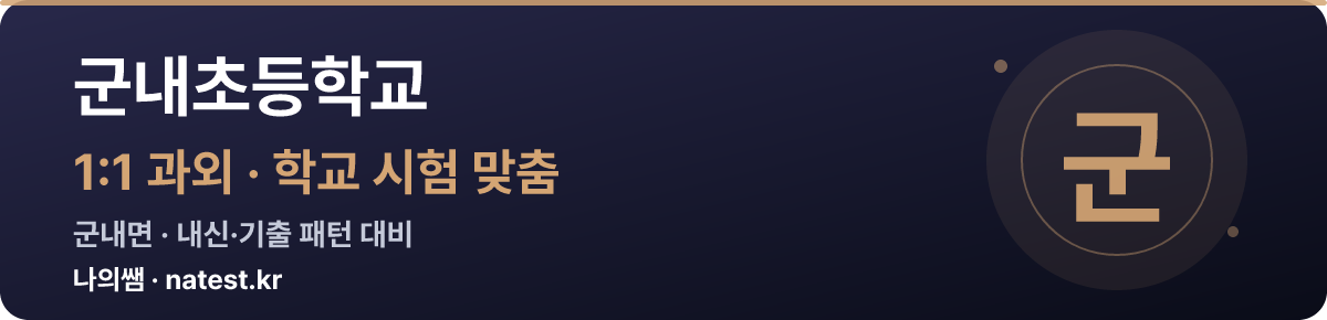군내초등학교 1:1 과외 — 학교 시험·내신 맞춤