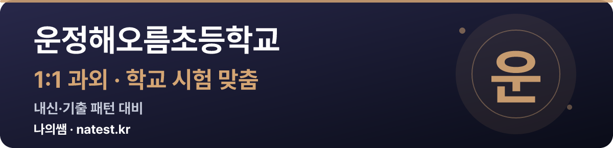 운정해오름초등학교 1:1 과외 — 학교 시험·내신 맞춤