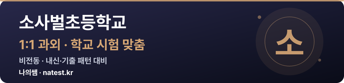 소사벌초등학교 1:1 과외 — 학교 시험·내신 맞춤