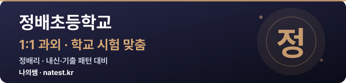 정배초등학교 1:1 과외 — 학교 시험·내신 맞춤