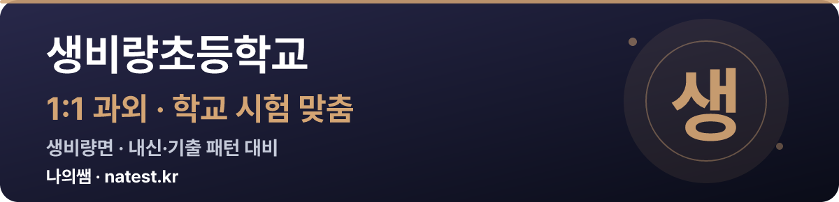 생비량초등학교 1:1 과외 — 학교 시험·내신 맞춤