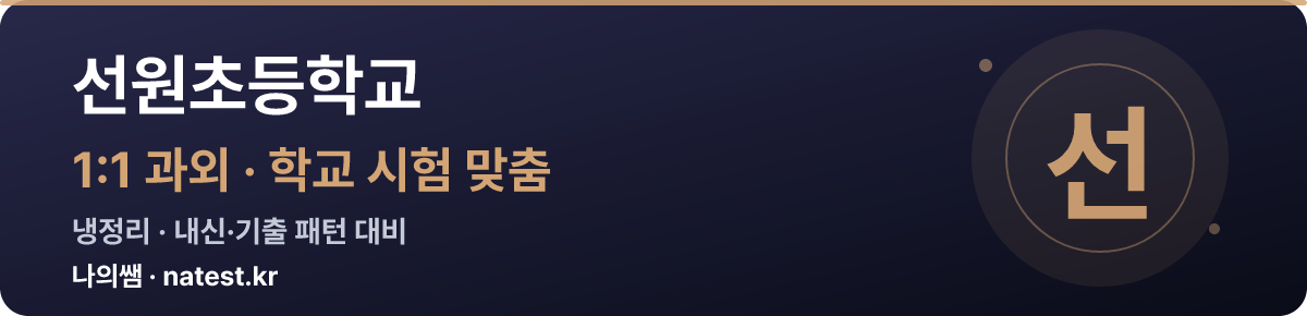선원초등학교 1:1 과외 — 학교 시험·내신 맞춤