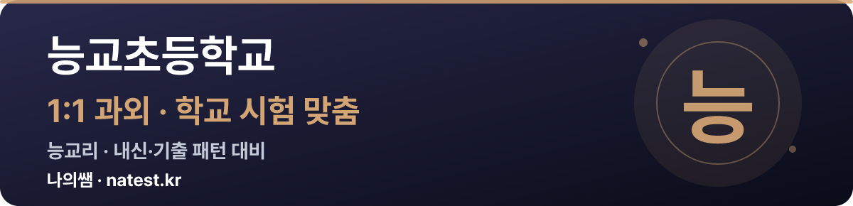 능교초등학교 1:1 과외 — 학교 시험·내신 맞춤