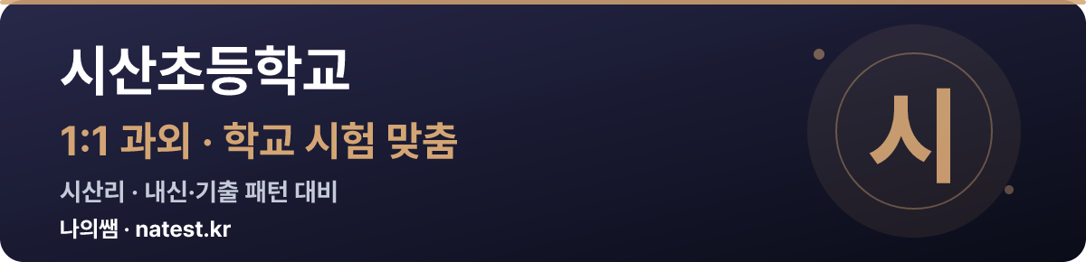 시산초등학교 1:1 과외 — 학교 시험·내신 맞춤