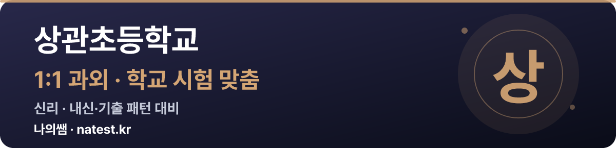 상관초등학교 1:1 과외 — 학교 시험·내신 맞춤