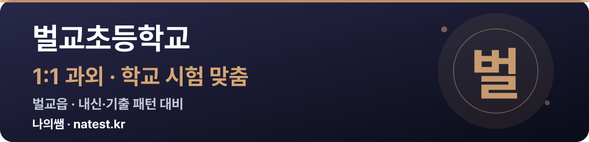 벌교초등학교 1:1 과외 — 학교 시험·내신 맞춤