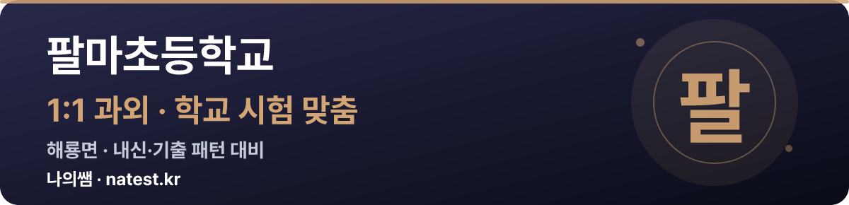 팔마초등학교 1:1 과외 — 학교 시험·내신 맞춤