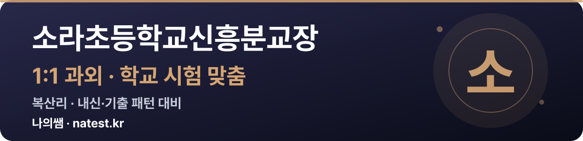 소라초등학교신흥분교장 1:1 과외 — 학교 시험·내신 맞춤
