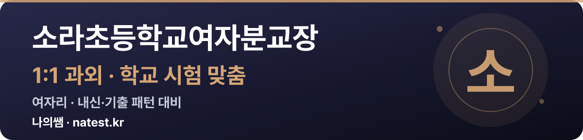 소라초등학교여자분교장 1:1 과외 — 학교 시험·내신 맞춤