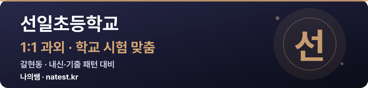 선일초등학교 1:1 과외 — 학교 시험·내신 맞춤