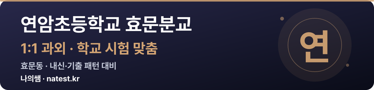 연암초등학교 효문분교 1:1 과외 — 학교 시험·내신 맞춤
