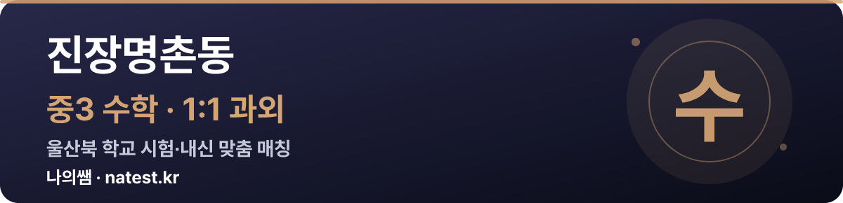 진장명촌동 중3 수학 1:1 과외 — 울산북 학교 시험·내신 맞춤